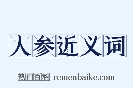 人参近义词是什么意思的图片